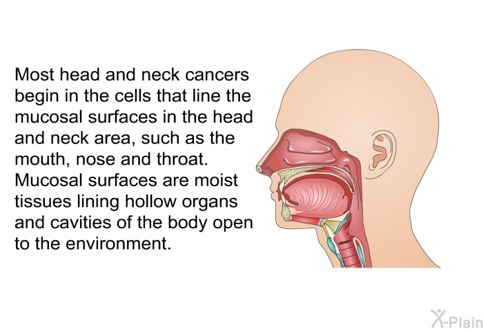 Most head and neck cancers begin in the cells that line the mucosal surfaces in the head and neck area, such as the mouth, nose and throat. Mucosal surfaces are moist tissues lining hollow organs and cavities of the body open to the environment.