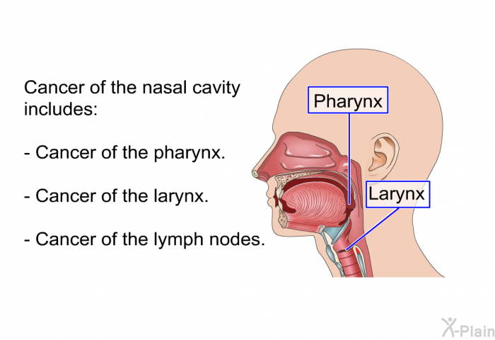 Cancer of the nasal cavity includes:  Cancer of the pharynx. Cancer of the larynx. Cancer of the lymph nodes.