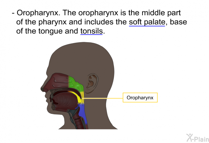 Oropharynx. The oropharynx is the middle part of the pharynx and includes the soft palate, base of the tongue and tonsils.