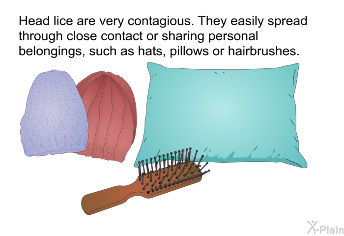 Head lice are very contagious. They easily spread through close contact or sharing personal belongings, such as hats, pillows or hairbrushes.