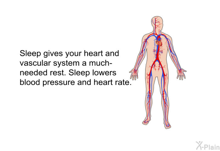 Sleep gives your heart and vascular system a much-needed rest. Sleep lowers blood pressure and heart rate.