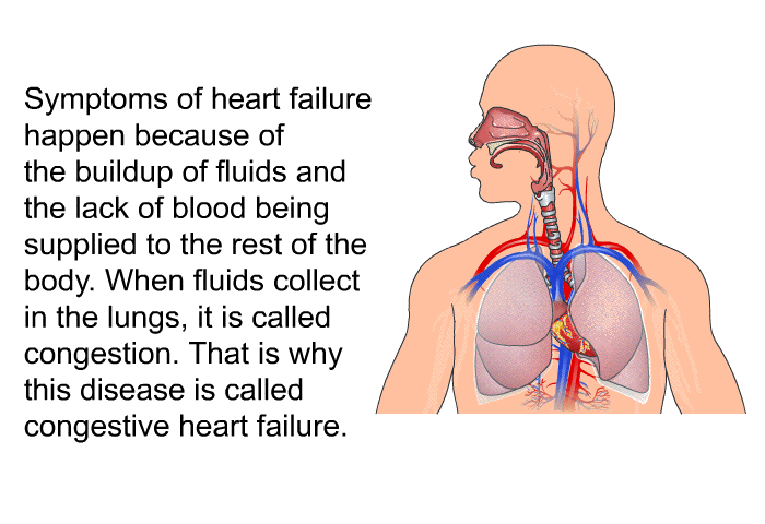 Symptoms of heart failure happen because of the buildup of fluids and the lack of blood being supplied to the rest of the body. When fluids collect in the lungs, it is called congestion. That is why this disease is called congestive heart failure.
