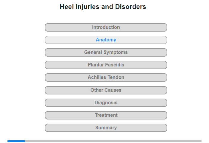 Anatomy of the Foot and Heel