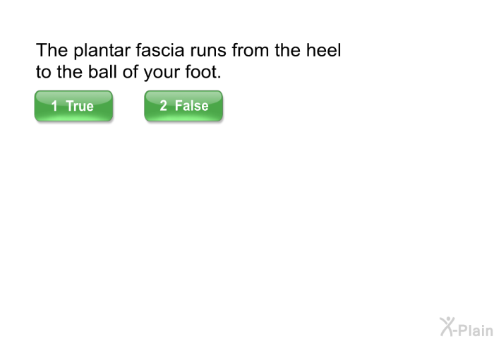 The plantar fascia runs from the heel to the ball of your foot.