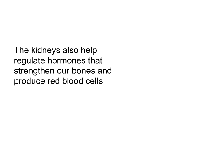 The kidneys also help regulate hormones that strengthen our bones and produce red blood cells.