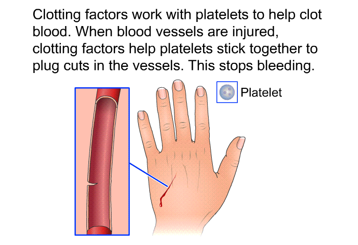 Clotting factors work with platelets to help clot blood. When blood vessels are injured, clotting factors help platelets stick together to plug cuts in the vessels. This stops bleeding.