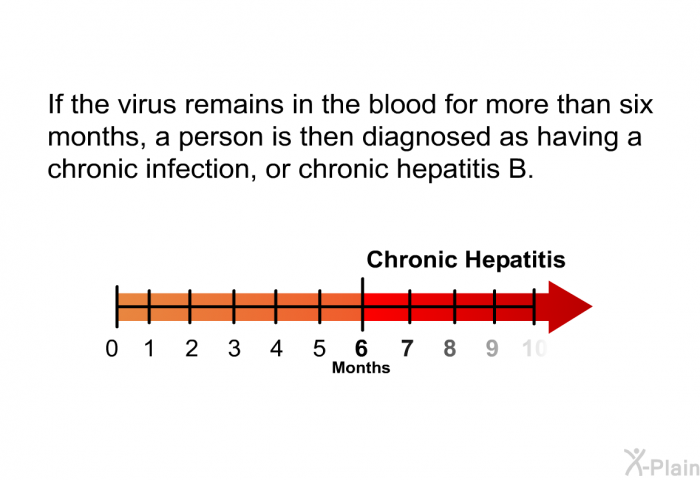 If the virus remains in the blood for more than six months, a person is then diagnosed as having a chronic infection, or chronic hepatitis B.