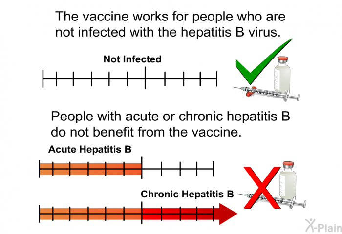 The vaccine works for people who are not infected with the hepatitis B virus. People with acute or chronic hepatitis B do not benefit from the vaccine.