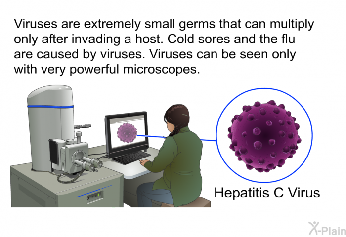 Viruses are extremely small germs that can multiply only after invading a host. Cold sores and the flu are caused by viruses. Viruses can be seen only with very powerful microscopes.