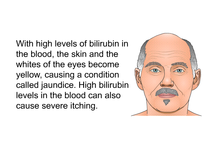 With high levels of bilirubin in the blood, the skin and the whites of the eyes become yellow, causing a condition called jaundice. High bilirubin levels in the blood can also cause severe itching.