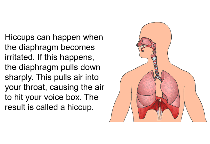 Hiccups can happen when the diaphragm becomes irritated. If this happens, the diaphragm pulls down sharply. This pulls air into your throat, causing the air to hit your voice box. The result is called a hiccup.