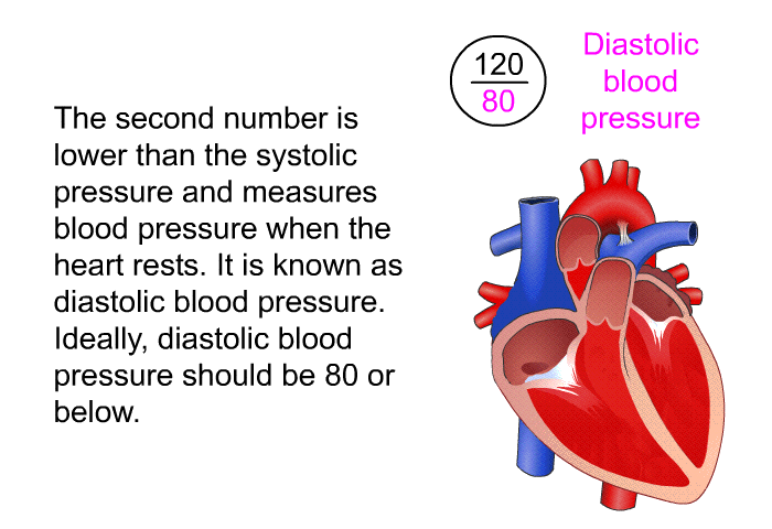 The second number is lower than the systolic pressure and measures blood pressure when the heart rests. It is known as diastolic blood pressure. Ideally, diastolic blood pressure should be 80 or below.