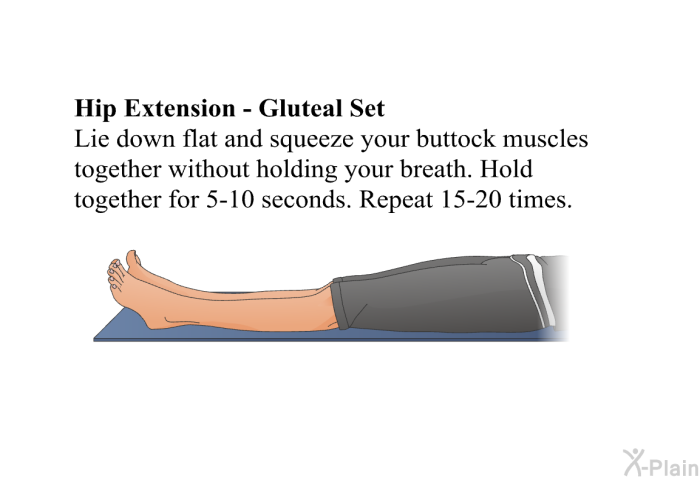 <B>Hip Extension &ndash; Gluteal Set</B> Lie down flat and squeeze your buttock muscles together without holding your breath. Hold together for 5-10 seconds. Repeat 15-20 times.
