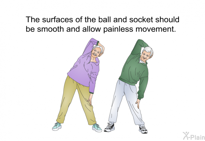 The surfaces of the ball and socket should be smooth and allow painless movement.