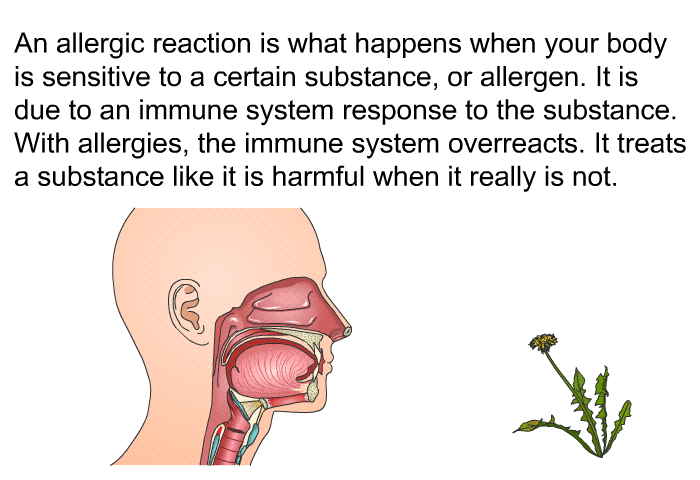 An allergic reaction is what happens when your body is sensitive to a certain substance, or allergen. It is due to an immune system response to the substance. With allergies, the immune system overreacts. It treats a substance like it is harmful when it really is not.