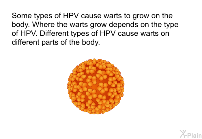 Some types of HPV cause warts to grow on the body. Where the warts grow depends on the type of HPV. Different types of HPV cause warts on different parts of the body.