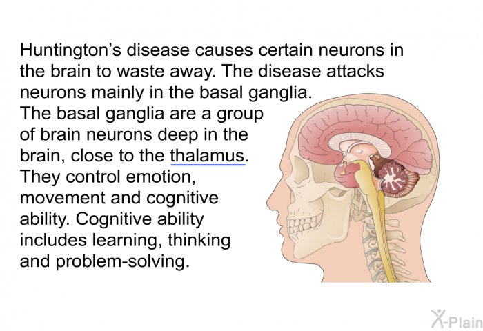 Huntington's disease causes certain neurons in the brain to waste away. The disease attacks neurons mainly in the basal ganglia. The basal ganglia are a group of brain neurons deep in the brain, close to the thalamus. They control emotion, movement and cognitive ability. Cognitive ability includes learning, thinking and problem-solving.
