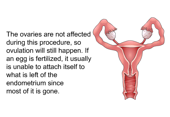 The ovaries are not affected during this procedure, so ovulation will still happen. If an egg is fertilized, it usually is unable to attach itself to what is left of the endometrium since most of it is gone.