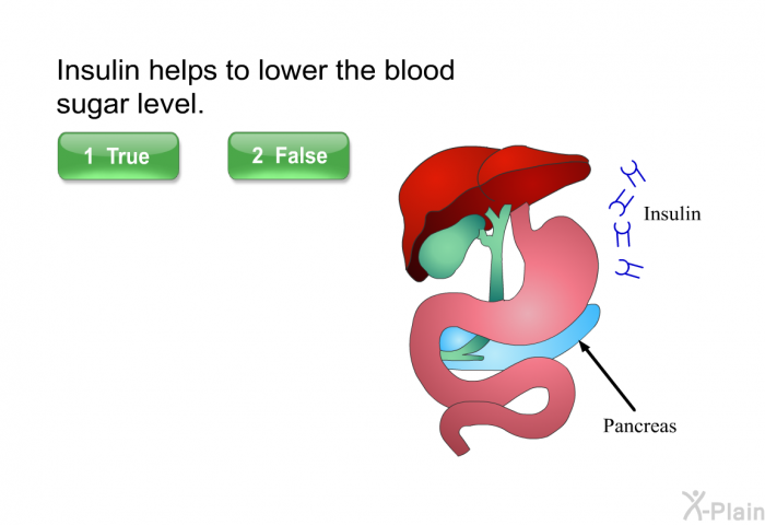 Insulin helps to lower the blood sugar level.