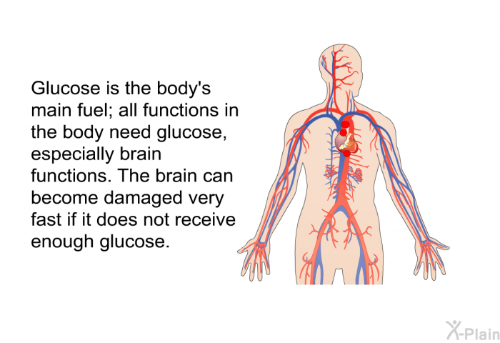 Glucose is the body's main fuel; all functions in the body need glucose, especially brain functions. The brain can become damaged very fast if it does not receive enough glucose.