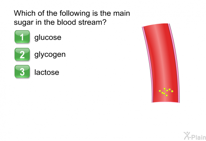 Which of the following is the main sugar in the blood stream?  glucose glycogen lactose