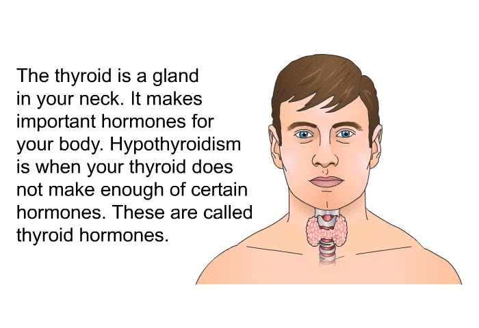 The thyroid is a gland in your neck. It makes important hormones for your body. Hypothyroidism is when your thyroid does not make enough of certain hormones. These are called thyroid hormones.