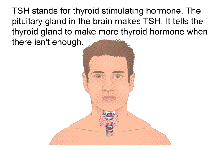 TSH stands for thyroid stimulating hormone. The pituitary gland in the brain makes TSH. It tells the thyroid gland to make more thyroid hormone when there isn't enough.
