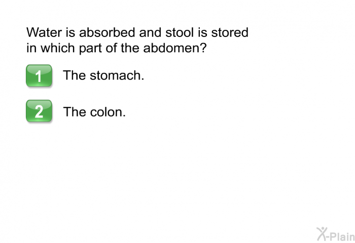 Water is absorbed and stool is stored in which part of the abdomen?  The stomach. The colon.