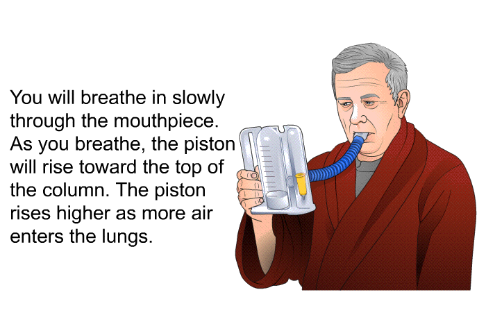 You will breathe in slowly through the mouthpiece. As you breathe, the piston will rise toward the top of the column. The piston rises higher as more air enters the lungs.