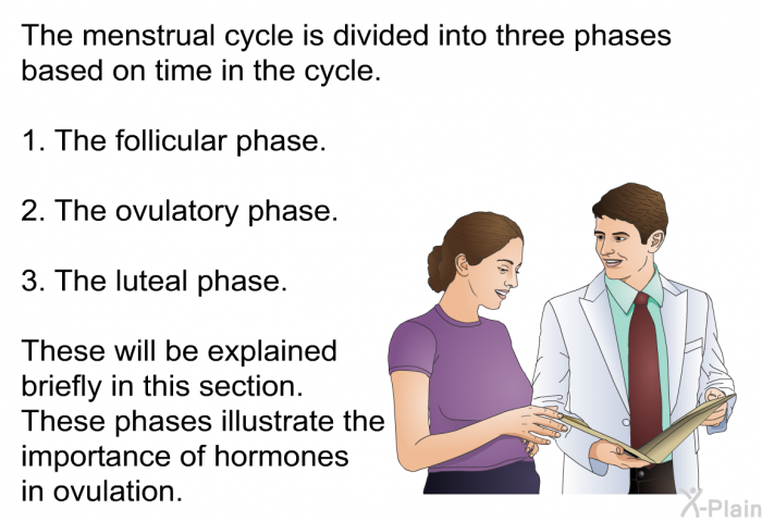 The menstrual cycle is divided into three phases based on time in the cycle.  <LI VALUE=1>The follicular phase. The ovulatory phase. The luteal phase.  
 These will be explained briefly in this section. These phases illustrate the importance of hormones in ovulation.