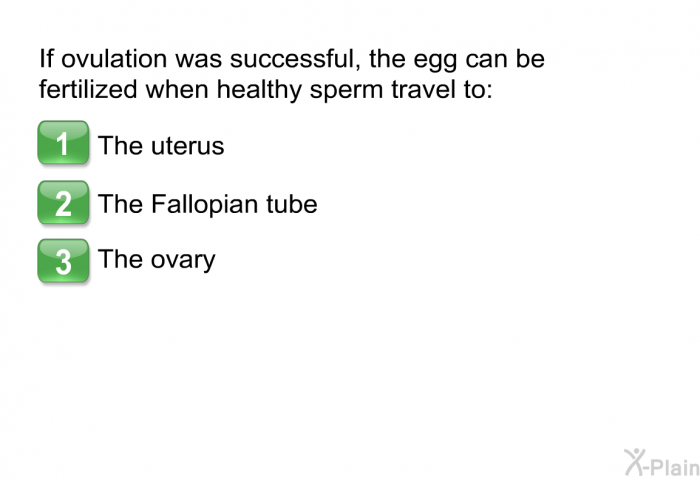 If ovulation was successful, the egg can be fertilized when healthy sperm travel to:  The uterus. The Fallopian tube. The ovary.