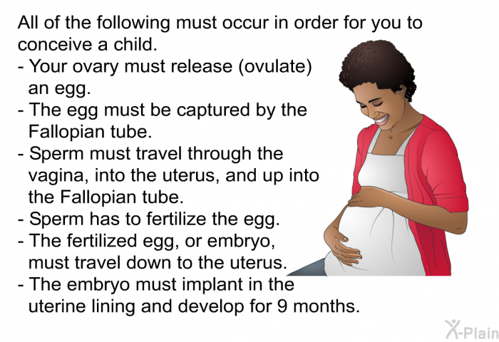 All of the following must occur in order for you to conceive a child.  Your ovary must release (ovulate) an egg. The egg must be captured by the Fallopian tube. Sperm must travel through the vagina, into the uterus, and up into the Fallopian tube. Sperm has to fertilize the egg. The fertilized egg, or embryo, must travel down to the uterus. The embryo must implant in the uterine lining and develop for 9 months.