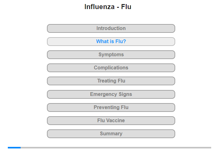 What is Flu?