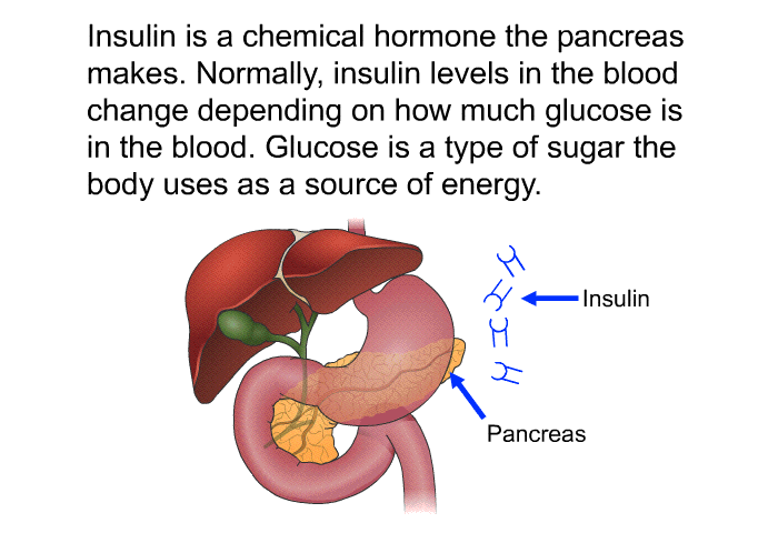 Insulin is a chemical hormone the pancreas makes. Normally, insulin levels in the blood change depending on how much glucose is in the blood. Glucose is a type of sugar the body uses as a source of energy.