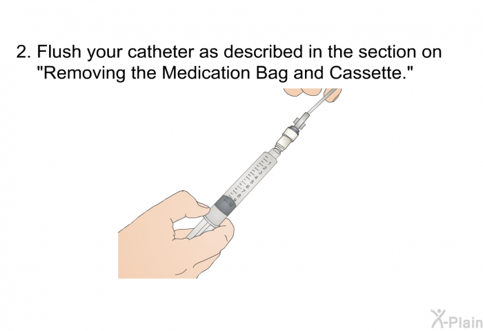 Flush your catheter as described in the section on &ldquo;<B>Removing the Medication Bag and Cassette</B>.&rdquo;