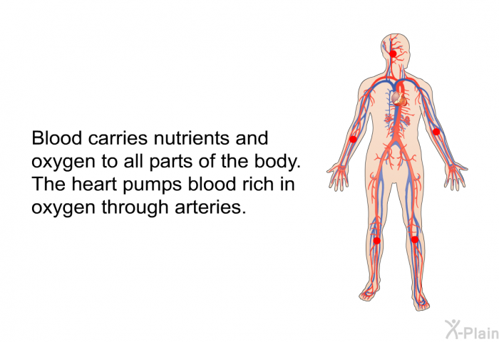 Blood carries nutrients and oxygen to all parts of the body. The heart pumps blood rich in oxygen through arteries.