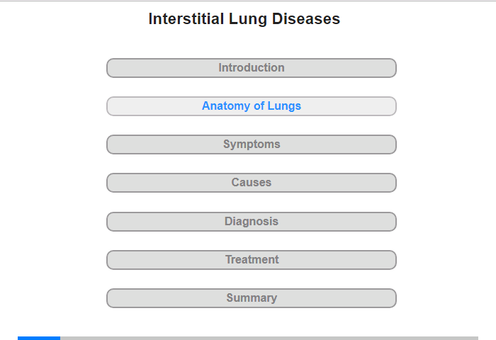 Anatomy of the Lungs