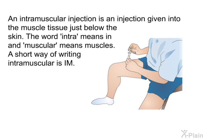 An intramuscular injection is an injection given into the muscle tissue just below the skin. The word  intra' means in and  muscular” means muscles. A short way of writing intramuscular is IM.
