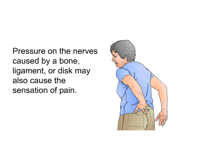 Pressure on the nerves caused by a bone, ligament, or disk may also cause the sensation of pain.