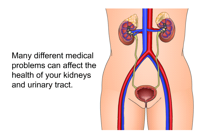 Many different medical problems can affect the health of your kidneys and urinary tract.