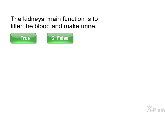 The kidneys' main function is to filter the blood and make urine.