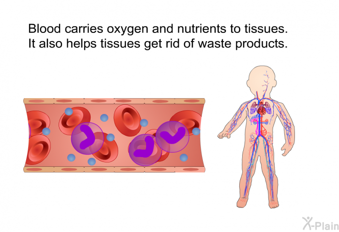 Blood carries oxygen and nutrients to tissues. It also helps tissues get rid of waste products.
