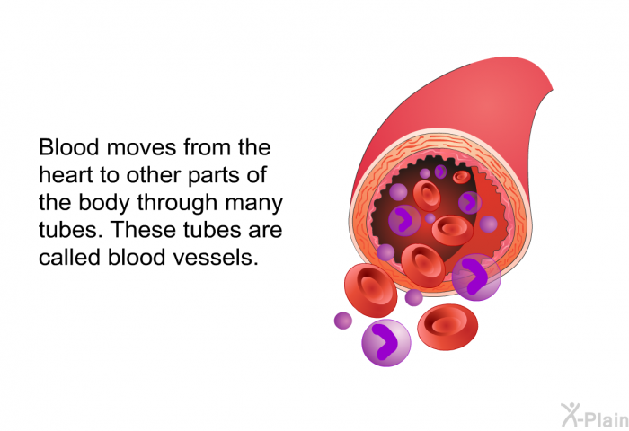 Blood moves from the heart to other parts of the body through many tubes. These tubes are called blood vessels.