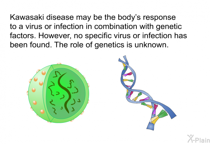 Kawasaki disease may be the body's response to a virus or infection in combination with genetic factors. However, no specific virus or infection has been found. The role of genetics is unknown.