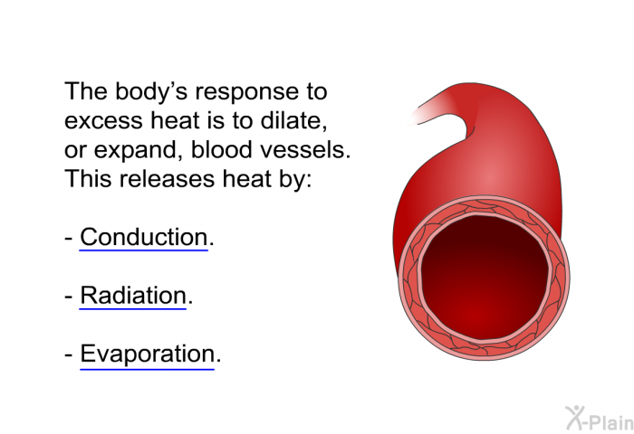 The body's response to excess heat is to dilate, or expand, blood vessels. This releases heat by:  Conduction. Radiation. Evaporation.