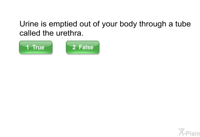 Urine is emptied out of your body through a tube called the urethra.