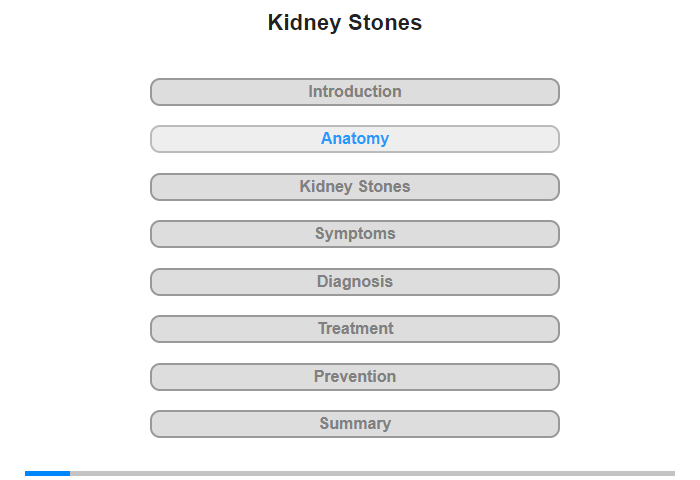 Anatomy