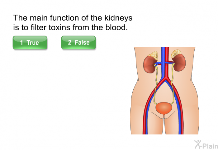 The main function of the kidneys is to filter toxins from the blood.