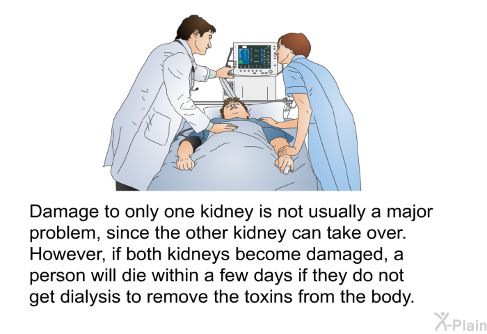 Damage to only one kidney is not usually a major problem, since the other kidney can take over. However, if both kidneys become damaged, a person will die within a few days if they do not get dialysis to remove the toxins from the body.