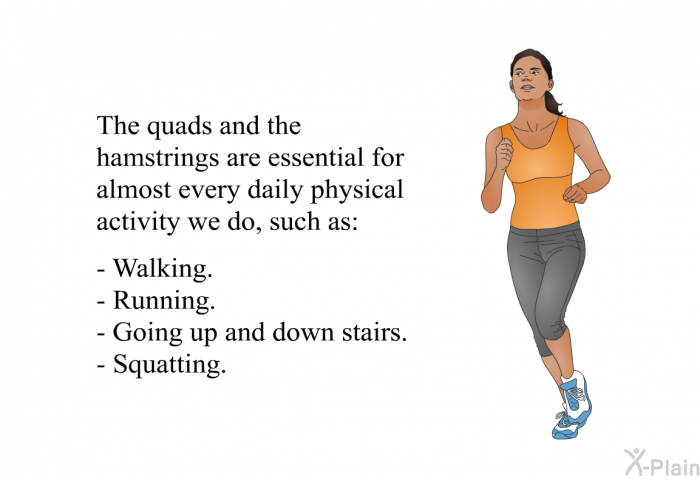 The quads and the hamstrings are essential for almost every daily physical activity we do, such as:  Walking. Running. Going up and down stairs. Squatting.